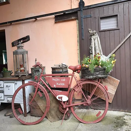 In Damgarten, Cleaning Included Apartment
